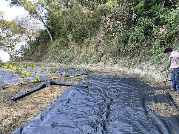 農耕整修自家山坡地也挨罰! 水利局提醒先做「這件事」 位於山坡地或森林區內修築農路、疏通溝渠或整坡作業,只要有僱請挖土機、推土機等施工機具整理園地,均應依照水土保持法令申報。圖/台南市水利局提供