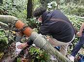 溪山里腹瀉群聚　蘇一峰：山泉水千萬不能生食