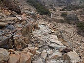 403大地震玉山劇烈搖晃　主峰線最新受損狀況曝光