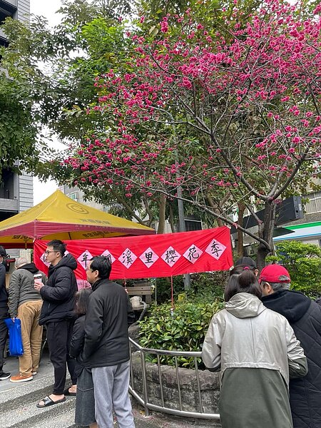 網溪里里長夏萬浪舉辦了櫻花季活動。（圖／中正萬華樂生活Ｘ有你有我）