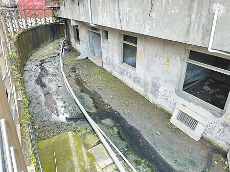 新北市新店區復興路80巷大排水溝因設計不良,經年累月淤積爛泥、雜草叢生,孳生蚊蠅、孑孓,經常飄出惡臭,恐成環境衛生隱憂。(高鈞麟攝)