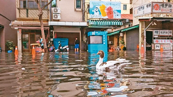高雄旗津飽受大潮淹水之苦,夏季常出現晴天也淹水的奇特景觀。圖/簡煥宗服務處提供