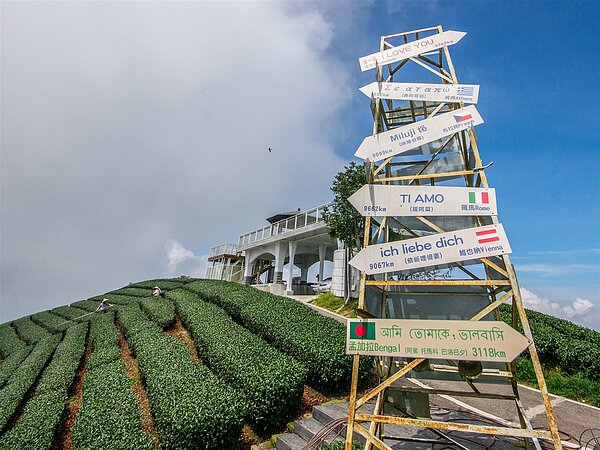 1314觀景台。圖/嘉義縣政府提供