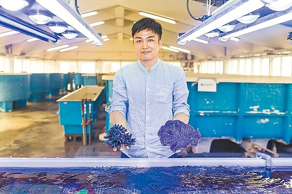 國立台灣海洋大學海洋環境與生態研究所所長識名信也利用養殖九孔的廢棄魚塭建立「珊瑚農場」,已養殖近5000株珊瑚。(國立台灣海洋大學提供/徐佑昇基隆傳真)