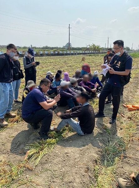 農村人口外移缺工,逃逸失聯移工竟揪團下田工作賺錢,南市專勤隊逮人,有人連鞋都噴飛。圖/台南市專勤隊提供