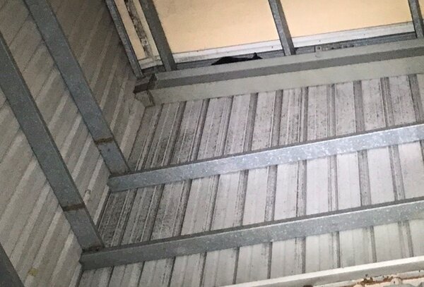 貓咪受困於工廠四層樓高的鋼筋縫中。圖／新北動保處提供