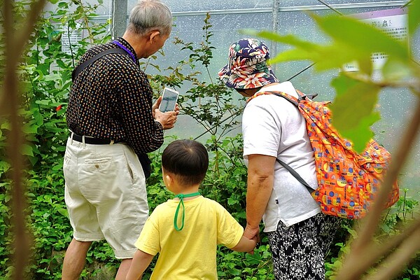 活動安排寄養家庭親子一同走出戶外、親近大自然，認識昆蟲生態。圖／社會局提供