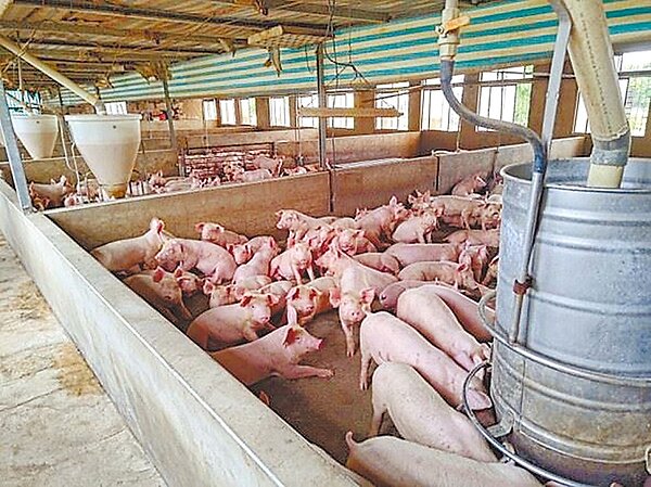 苗栗縣政府提案修正「苗栗縣新設置畜牧場管理自治條例」,將放寬新設置畜牧場距離,從300公尺調整到200公尺,引起多位縣議員反彈,該修正案預計5月2日在臨時會中二、三讀審議。(苗栗縣政府提供/李京昇苗栗傳真)