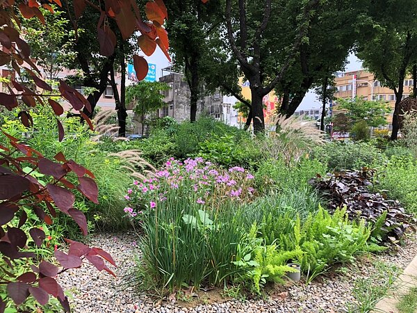 利用植栽本身多變的色彩呈現不同場域氛圍。圖/台中市政府提供