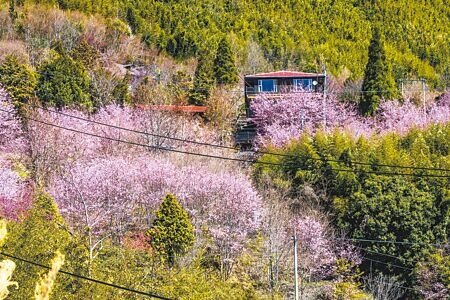 國土法規定原住民地區3戶以下不算部落,尖石、五峰兩鄉約有1100戶,土地可能將列為國土保育地不能開發,引發原民反彈。(羅浚濱攝)