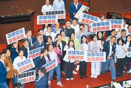 立法院4月30日院會處理電價凍漲案,國民黨立委在表決中以人數優勢通過凍漲案,並在議場內高舉標語大喊「凍漲電價,苦民所苦」。(姚志平攝)