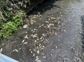 抓到汙染新竹茄苳溪凶手　資源回收業者將化學清潔劑排放溪中