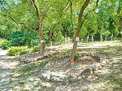 高雄3樹葬園區　議員批管理不當