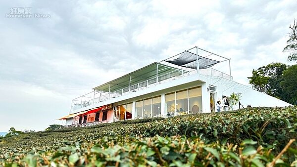 景美山林茶園 x 山月茶屋04