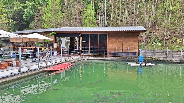 南投|金井珈琲03