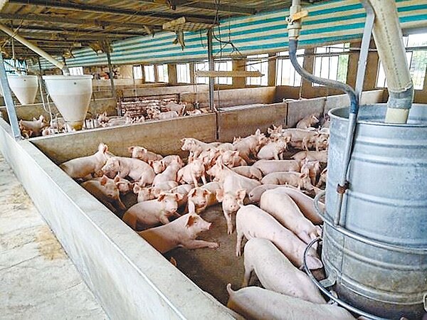 苗栗縣議會2日舉行臨時會,針對縣府農業處提案修正「苗栗縣新設置畜牧場管理自治條例」,將新設置畜牧場距離限制改為200公尺,因各議員意見不一,最終退回提案。圖/苗栗縣政府提供