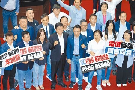 立法院3日院會，國民黨與民眾黨以人數優勢表決通過《電業法》49條修正草案逕付二讀，國民黨團總召傅萁（前排左四）帶領黨籍立委在議場合影。（姚志平攝）