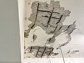 鑑定海砂屋　北市補助最高145萬元