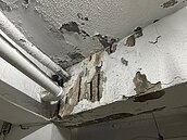 5／10開始受理！北市海砂屋鑑定補助最高145萬　申請資格看這