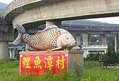 三義鯉魚社區　推動文化不遺餘力