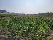 南科特定區區段徵收啟動　地上物查估作業開始辦理