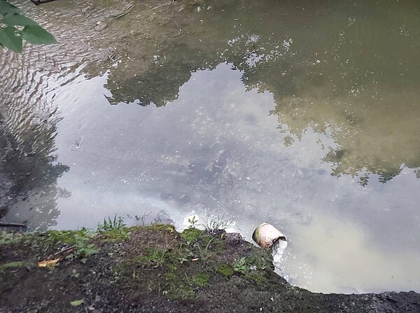桃園市大溪區南興里茄苳溪上游長期汙水偏白汙染和惡臭,市府與民代現勘查獲一間豆干廠排放汙染,依法開罰。圖/市議員陳治文提供