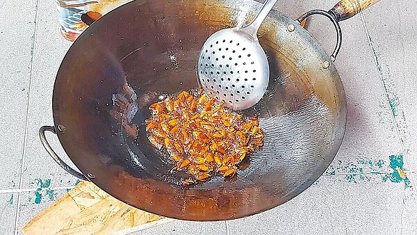 林業署嘉義分署日前舉辦「呷蟲王者」活動時,因油炸荔枝椿象教導學員認識昆蟲可入菜,10日引起涉及食安法的爭議。(林業署嘉義分署提供/廖素慧嘉義傳真)