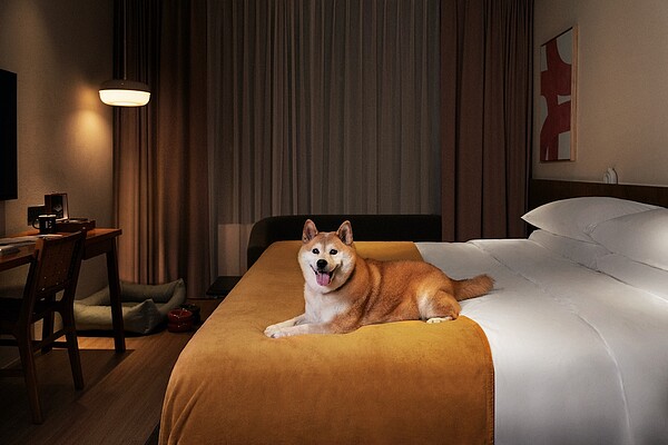 大安EPISODE為寵物友善酒店。圖/業者提供
