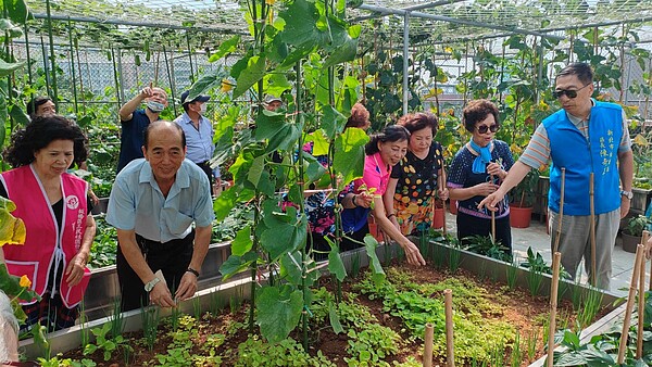 板橋三民社區發展協會利用民生市民活動中心頂樓，設置了板橋區首座的「開心農場」。圖／新北市政府提供