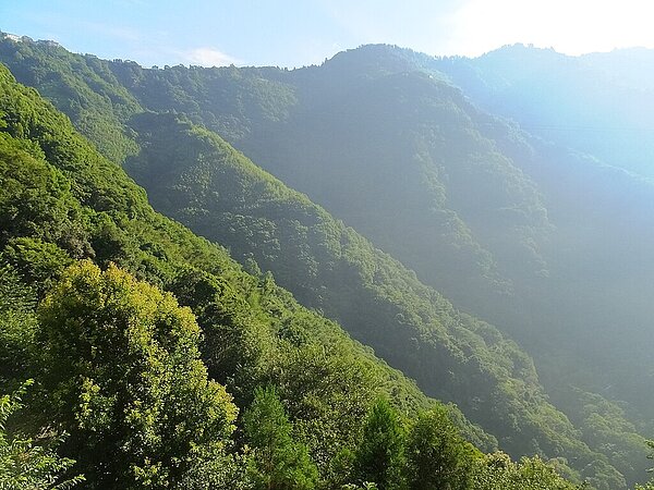 拉拉山。圖/維基百科