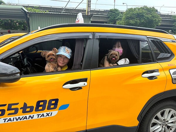 台中市目前已有16家派遣計程車業者提供毛孩共載服務。圖/台中市交通局提供