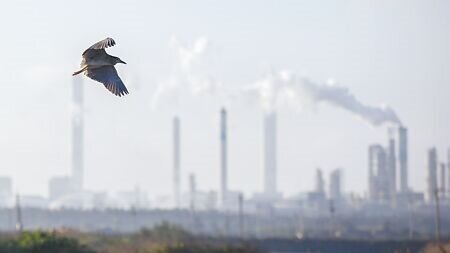 碳費費率遲未出爐,學者、環團籲新政府加速公告。圖為麥寮台塑工業園區。(杜宜諳攝)