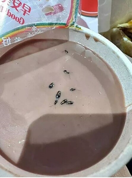 桃園市有民眾到八德區一家連鎖早餐店買早餐,未料撕開飲料封膜竟驚見多隻蟑螂漂浮,引發熱議。圖/取自臉書「爆怨2公社」
