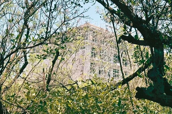 台南安南區四草綠色隧道東北側正興建度假村，遊綠色隧道時，建築物矗立在旁，神秘叢林美景失色。圖／南市議員蔡麗青提供