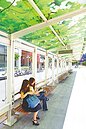 長廊披綠葉　好似林中等公車