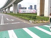 中壢中豐北路　多左彎專用道阻車流