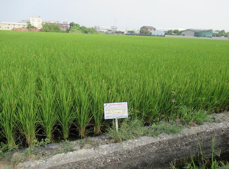 彰化縣政府代為標售今年第3批地籍清理未能釐清權屬的34標土地，其中第31標田尾鄉田崙段55地號標售底價最高，達2903萬餘元，每坪近6萬元。圖／地政處提供
