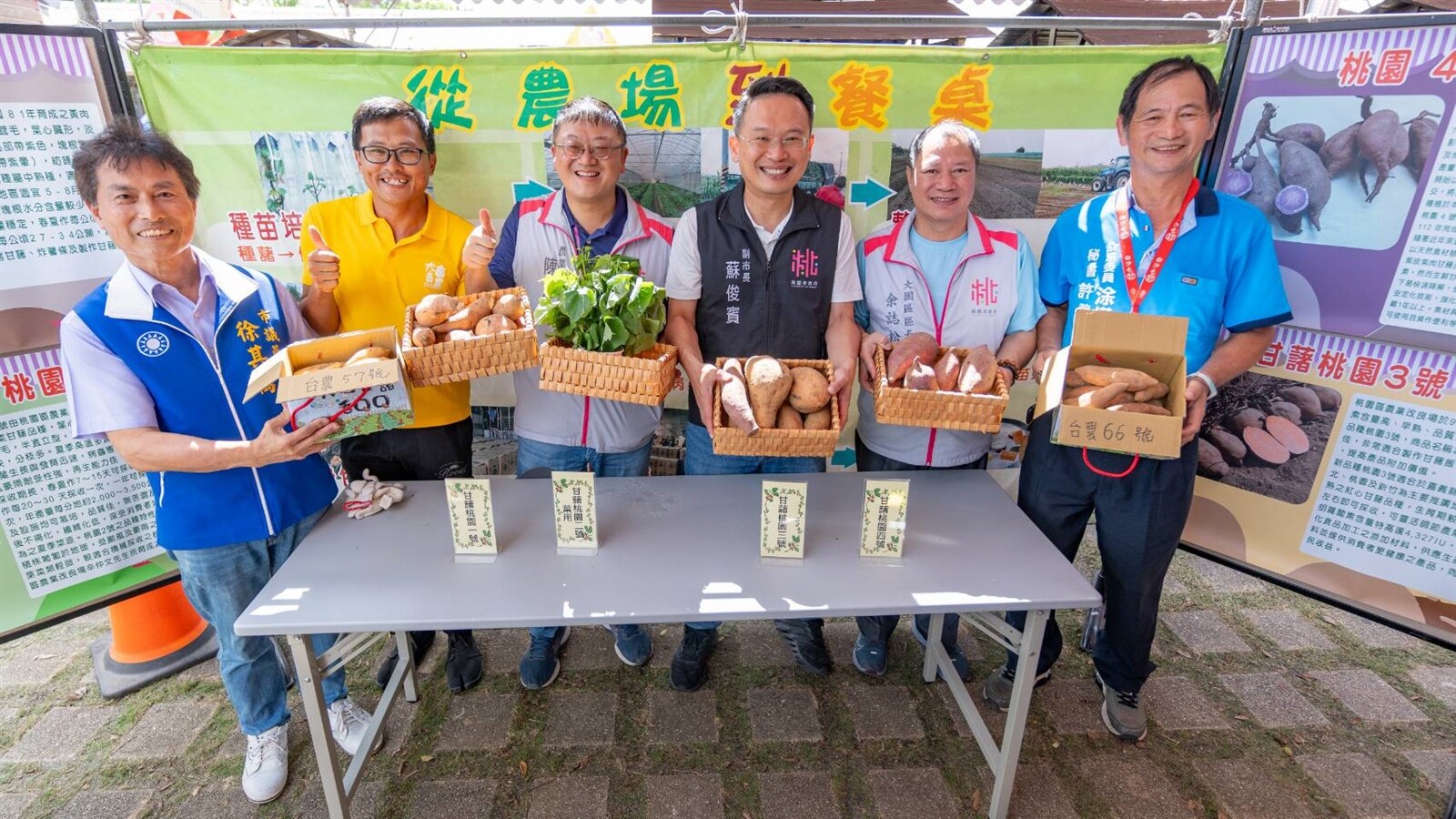 從農場到餐桌桃園甘藷有25.6%來自大園區。圖：市府提供