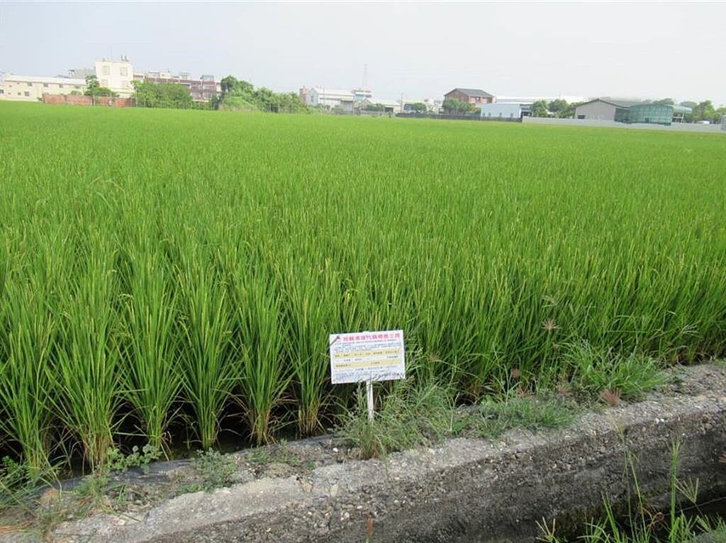 彰縣府公告34筆代標售土地，標售底價最高為田尾鄉田崙段55地號農田、面積1600平方公尺、底價高達2903萬2000元。（彰縣府提供／葉靜美彰化傳真）
