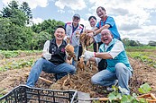 蘇俊賓體驗焢窯下田挖地瓜　力推大園甘藷獲網友熱烈反響