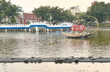 
台南市下營區玄天上帝廟去年清理武承恩公園的池塘時，估算烏龜數量總計600隻。（張毓翎攝）
