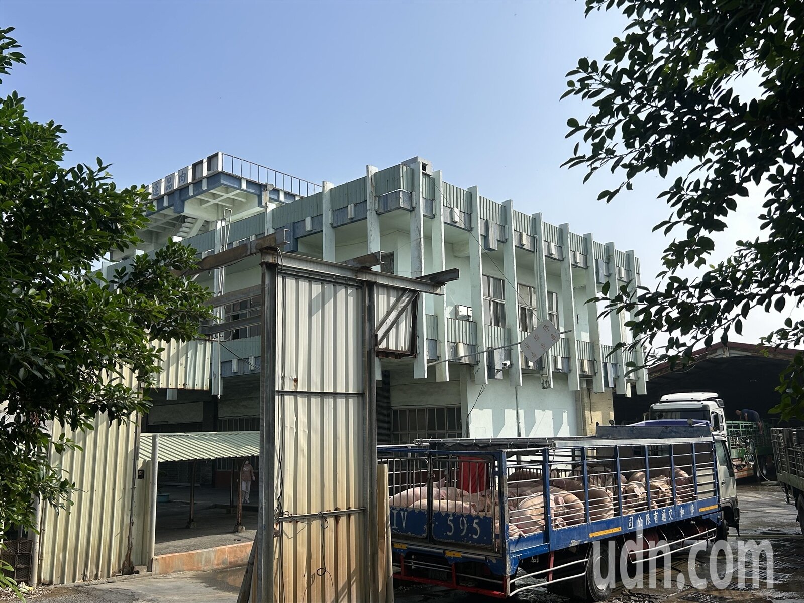 高雄肉品市場涵蓋屠宰及拍賣等業務,待宰豬隻送進場,因位處市中心,作業噪音讓居民詬病,居民及民代都力促遷移。記者徐白櫻/攝影