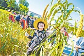 明清帝王農耕地　開放民眾秋收