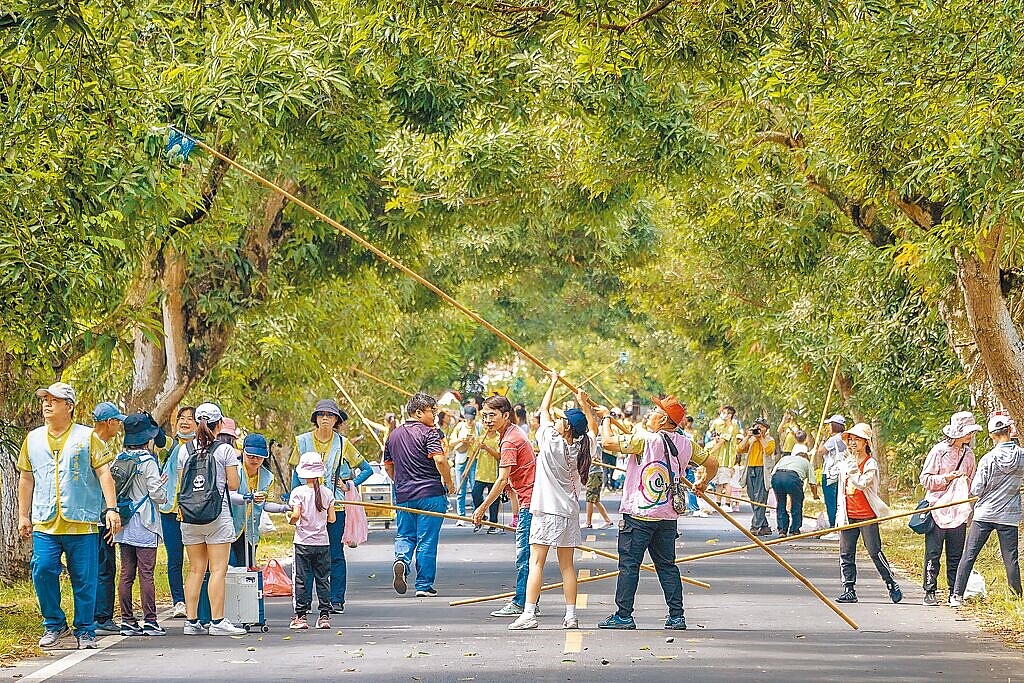 台南市玉井區公所今年舉辦的「發現玉井之美全國攝影比賽」,22日公布得獎名單及作品。圖為獲得金牌作品。圖/玉井區公所提供