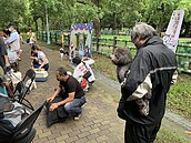 新北1年1座寵物公園　擬設貓樂園