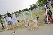 台南活化西灣滯洪池空間　打造寵物友善公園