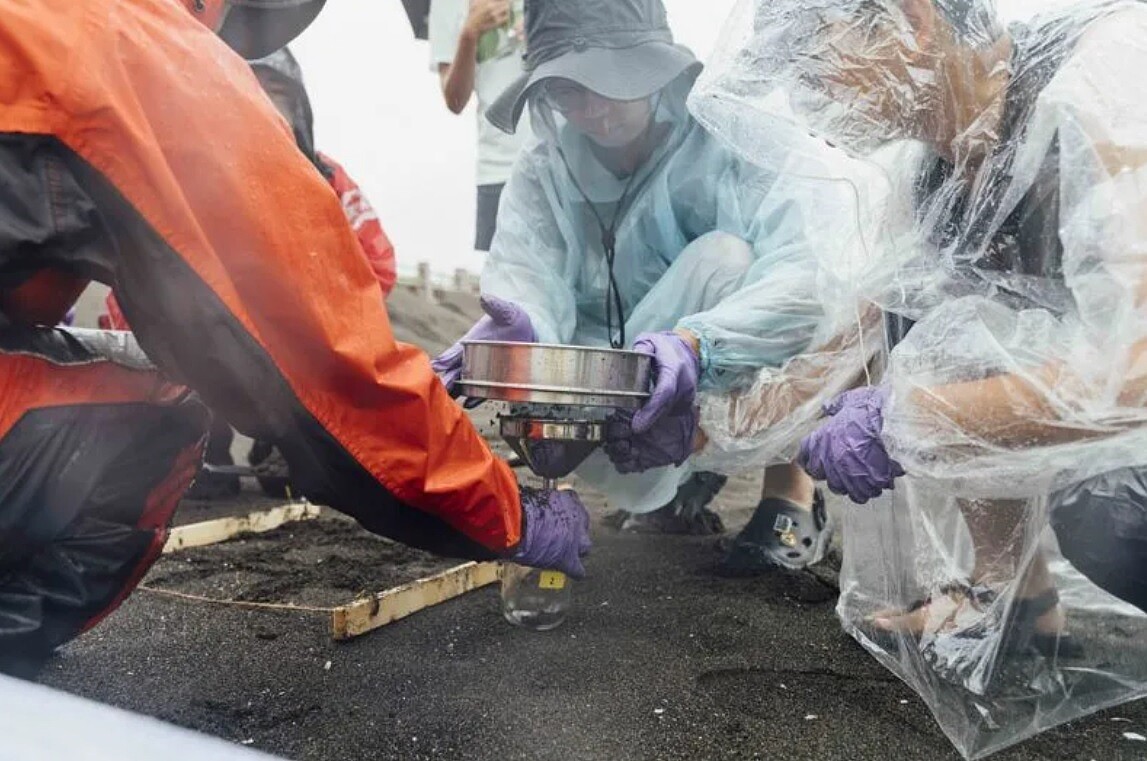 綠色和平發表與大學合作調查,發現高雄林園工業區以北4處沙灘都有塑膠原粒,證實石化工業原料逸散到自然環境。圖/綠色和平提供