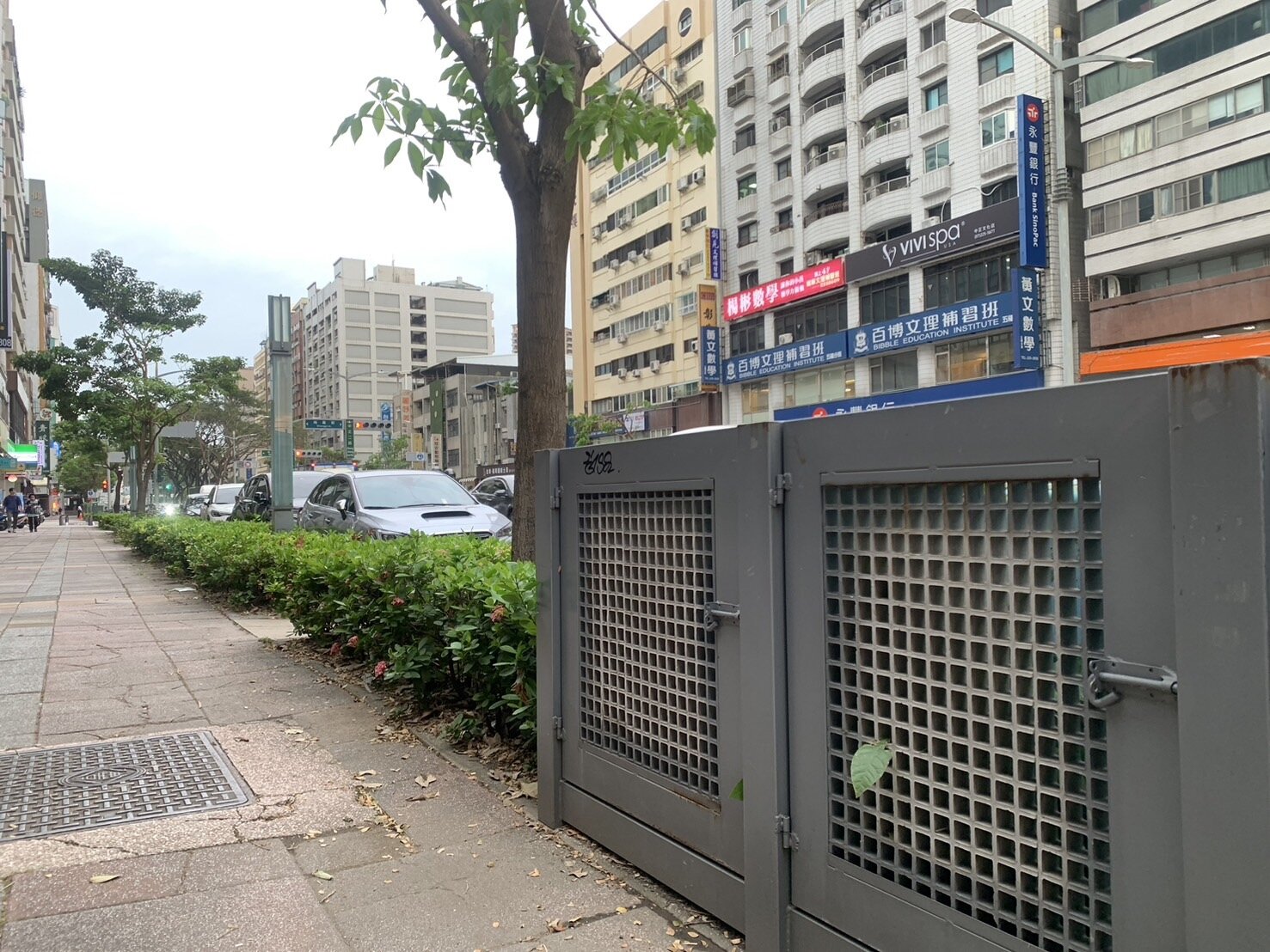 市議員黃文益指高雄市區許多路段的變電箱緊鄰路樹,樹倒後恐導致停電,「一定要有一方挪移走」。記者宋原彰/攝影