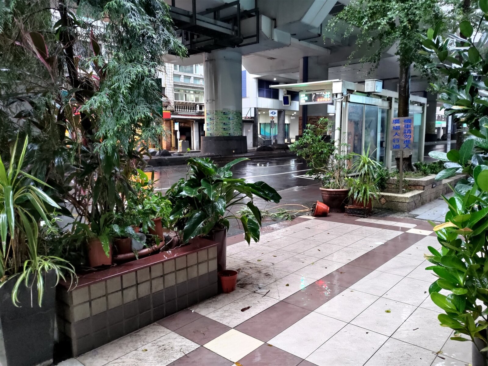 康芮颱風進逼，台北市已有間歇強風。記者林麗玉／攝影 