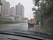 桃園龜山多處路樹倒塌　警冒雨疏導交通